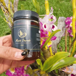 Pote de 700g do tradicional Mel de Florada Silvestre da Monte Dourado, embalagem ideal para a família.